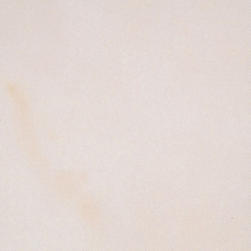 ROSA PORTOGALLO CHIARO